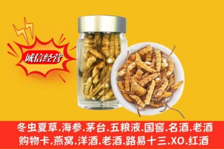 赣州龙南市回收散虫草